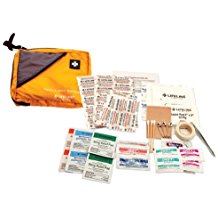 first aid review